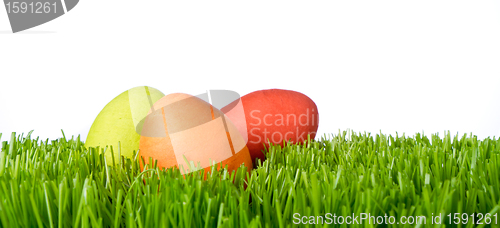 Image of easter eggs in grass