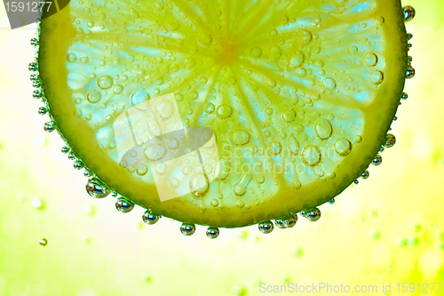 Image of lime in the water