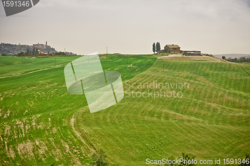 Image of Typical Tuscan landscape