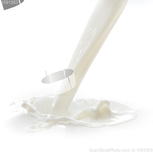 Image of milk splash