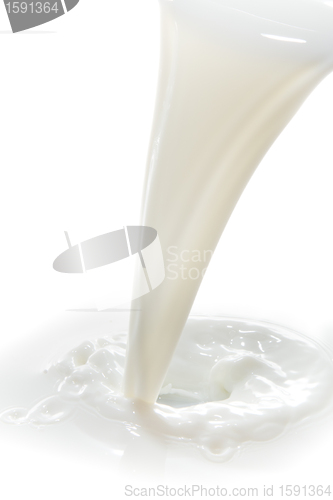 Image of milk splash
