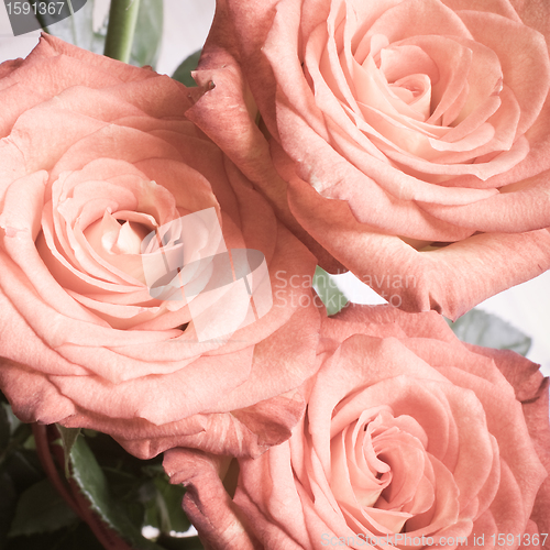 Image of rose bouquet