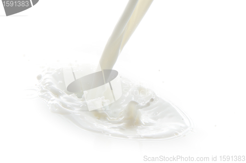 Image of milk splash