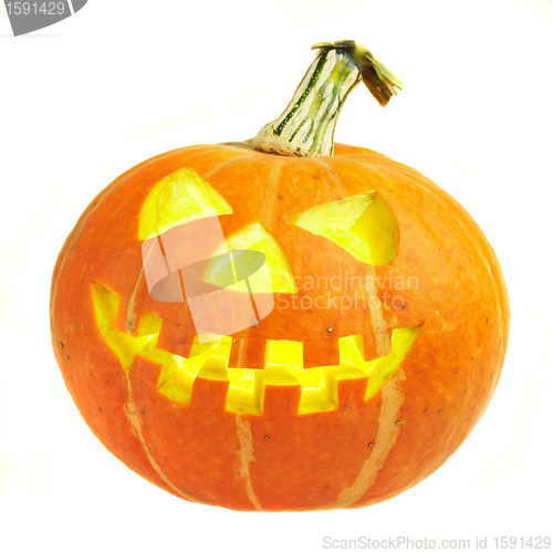 Image of A scary old jack-o-lantern on white.