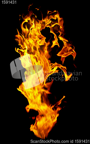 Image of Fire photo on a black background 