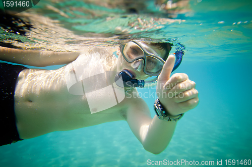 Image of Snorkeler. Red sea