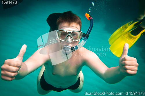 Image of Snorkeler