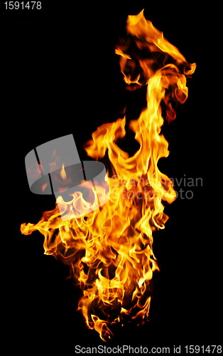 Image of Fire photo on a black background 