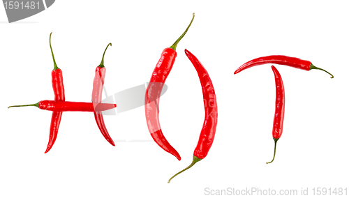 Image of Red chilli peppers