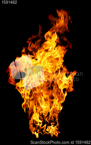 Image of Fire photo on a black background 