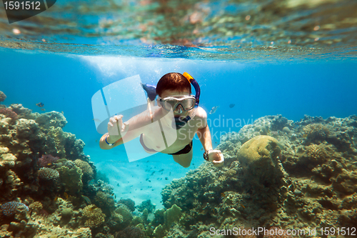 Image of Snorkeler. Red sea