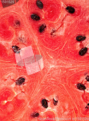 Image of watermelon