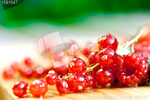 Image of currants