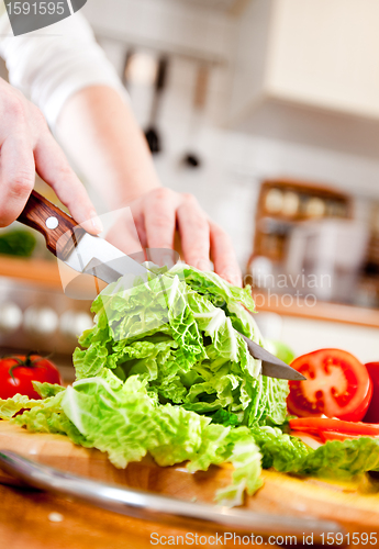 Image of Woman's hands cutting vegetables