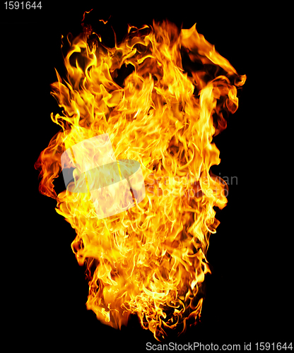 Image of Fire photo on a black background 