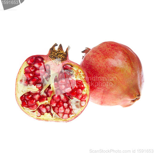 Image of  pomegranate