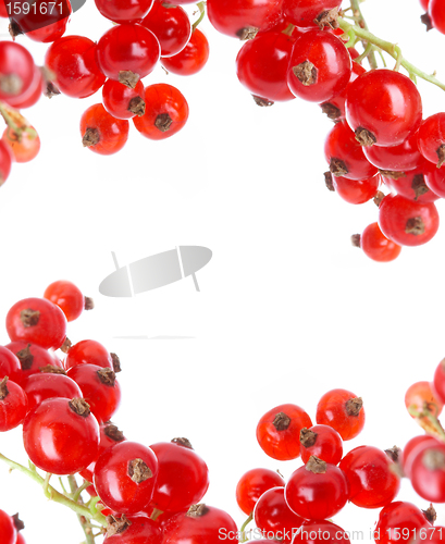 Image of fresh currant