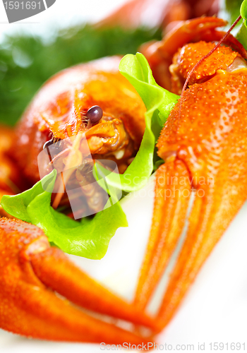 Image of Boiled crawfish on a white background