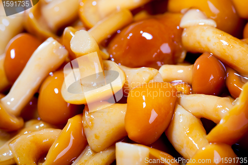 Image of mushrooms close up