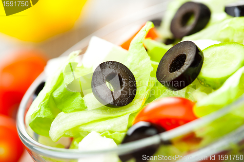 Image of Fresh salad