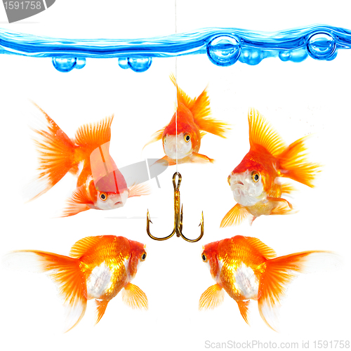 Image of Five small fishes at a hook