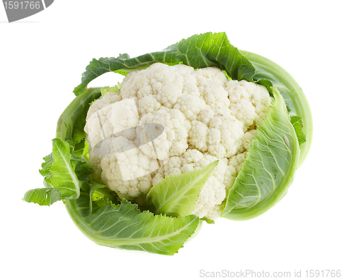 Image of cauliflower