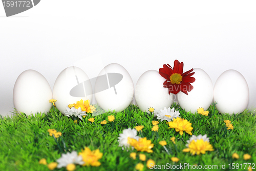 Image of White eggs with flowers