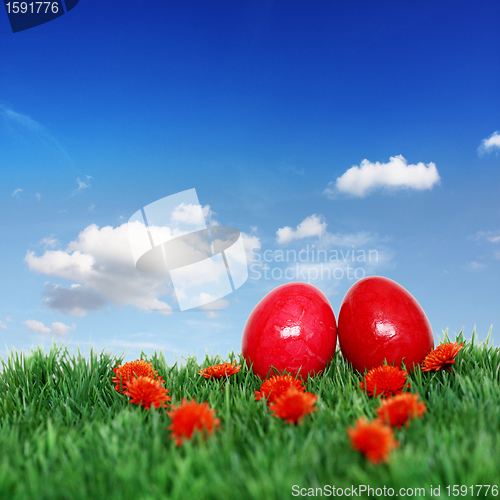 Image of Two beautiful Easter eggs