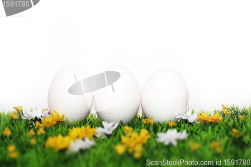 Image of Three white eggs