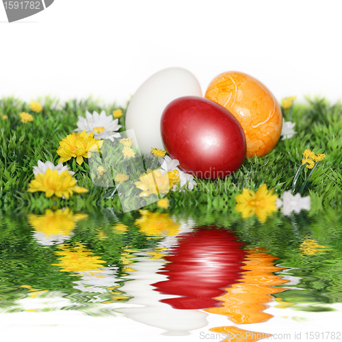 Image of Colorfully painted eggs