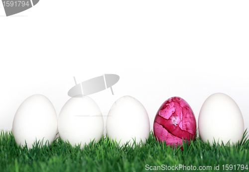 Image of A pink egg between the white