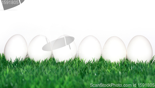 Image of chicken eggs