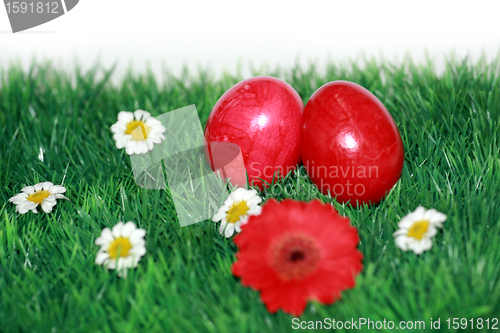 Image of Red Easter eggs in the grass