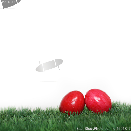 Image of Two red Easter eggs on grass