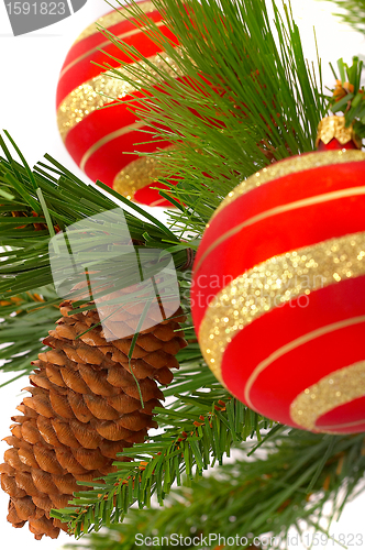 Image of Christmas fur-tree on a white background with a ball