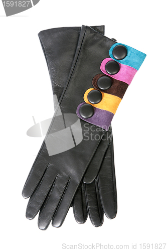 Image of Female leather gloves on a white background