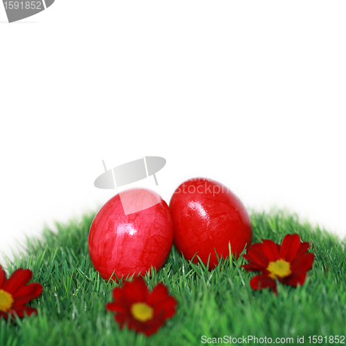 Image of Two eggs on a green field with red flowers