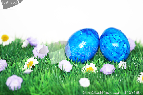 Image of Colorful Easter eggs on green grass