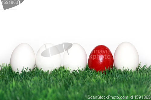 Image of A red egg in between the white
