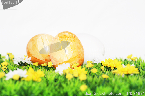 Image of yellow Easter Eggs