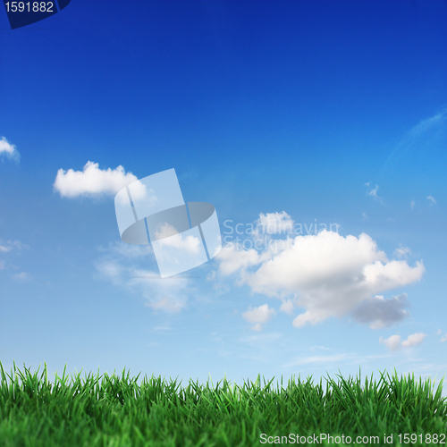 Image of green field and blue sky