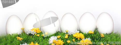 Image of 6 white eggs