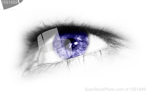 Image of eye isolated