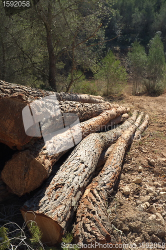 Image of Logs