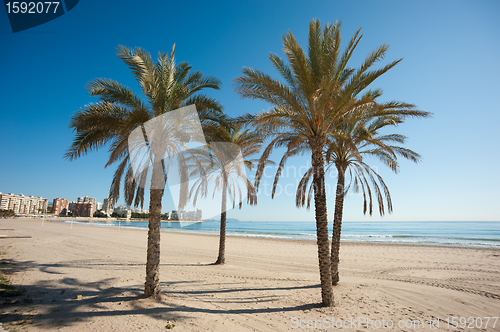 Image of Muchavista sand beach