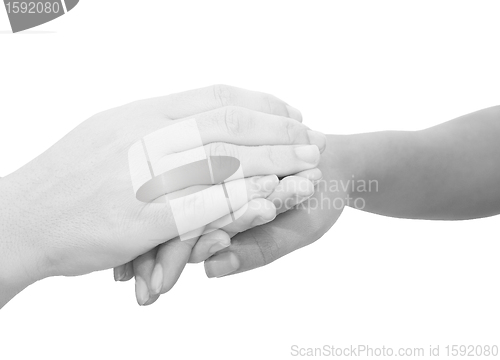 Image of Hands expressing symbolic sympathies while holding each other 