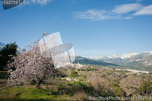 Image of Guadalest valley