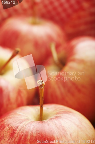 Image of Apple