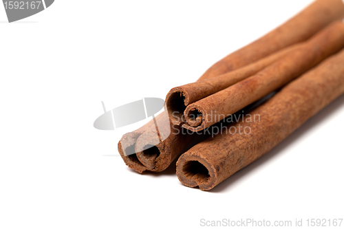 Image of Cinnamon sticks on white background