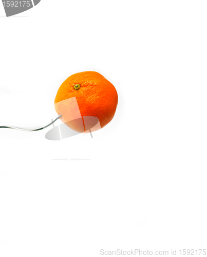 Image of orange mandarin tangerine on fork over white 